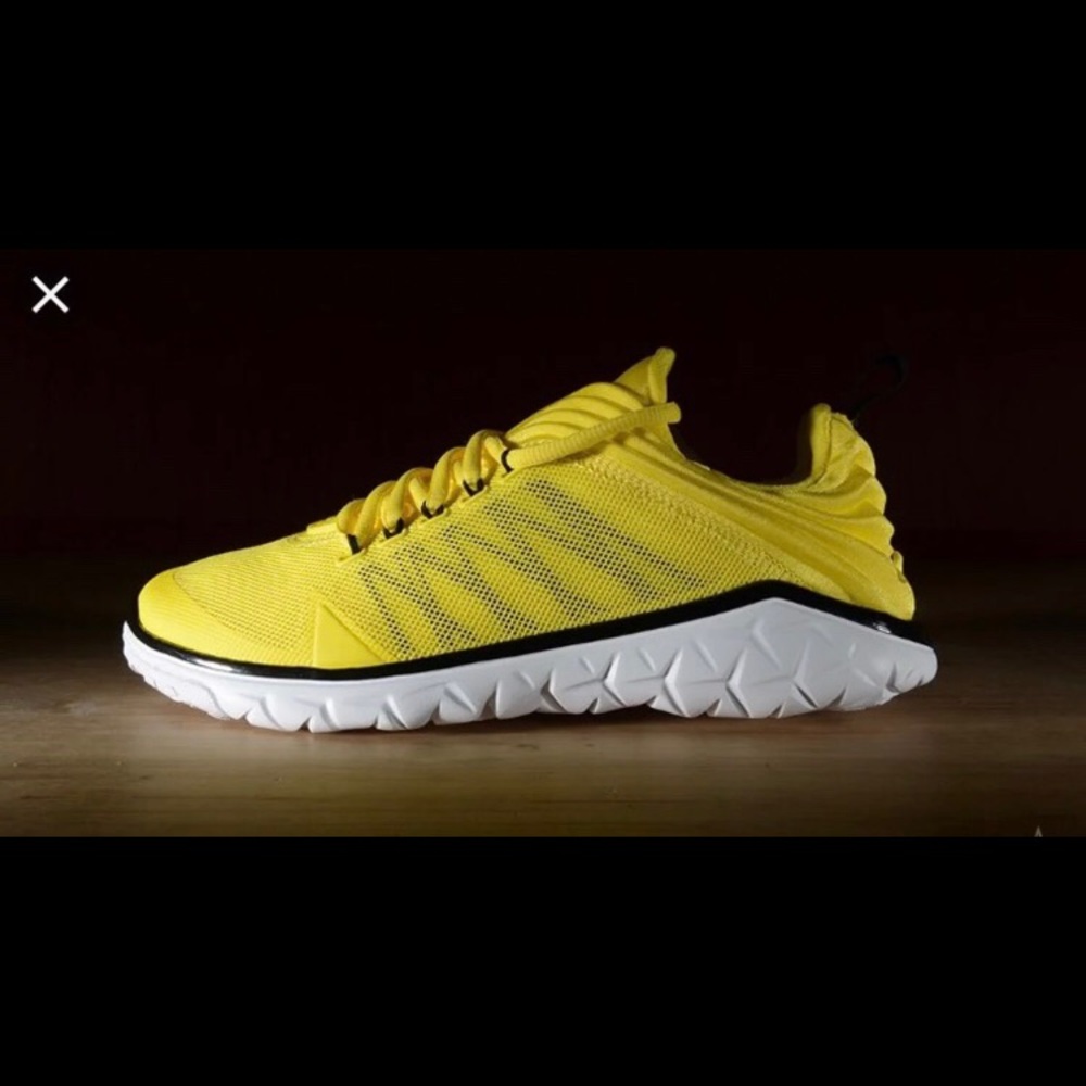 Jordan flight flex trainers